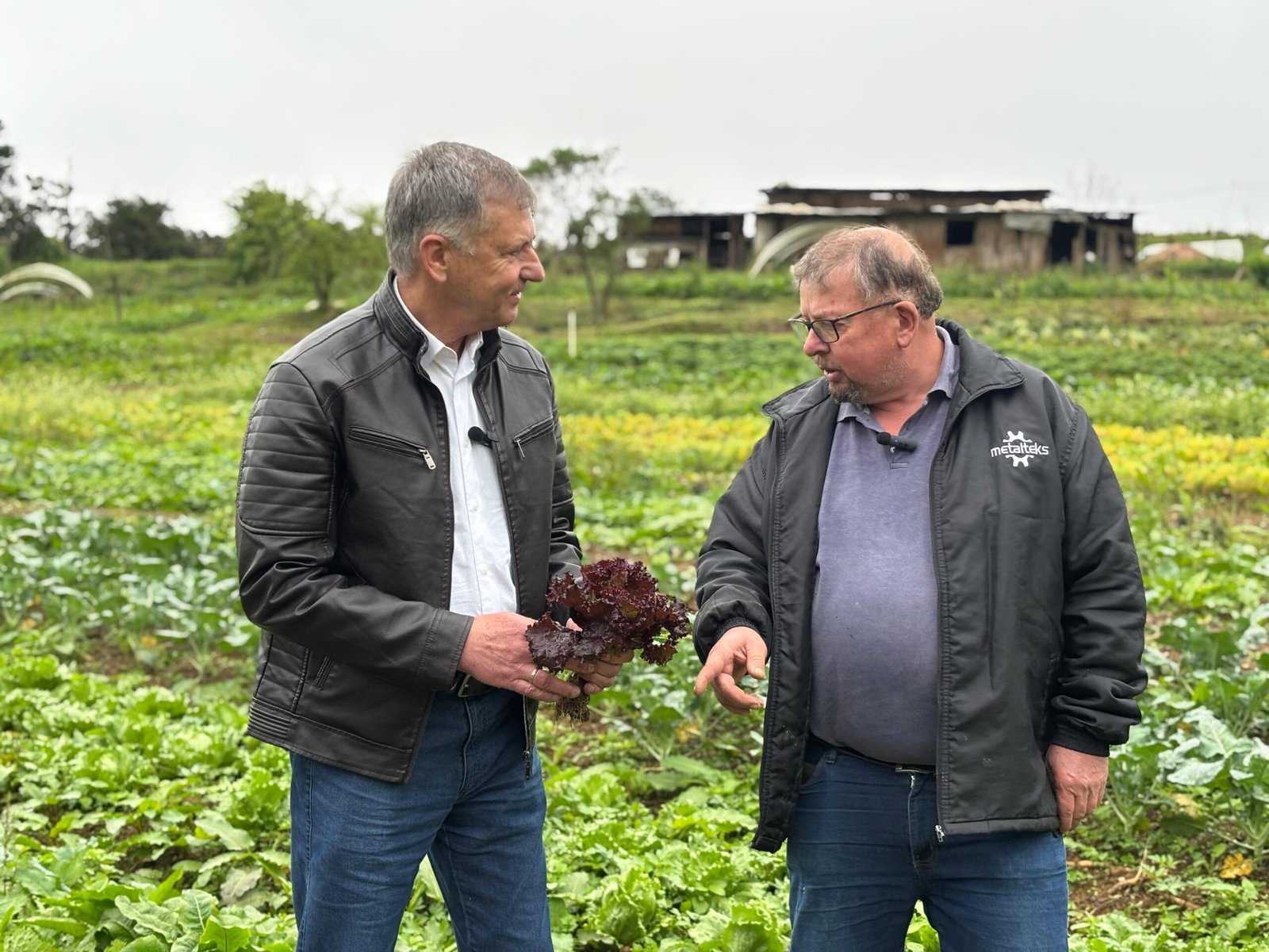 Mercado Municipal de Orgânicos de Tijucas do Sul é referência no Paraná
